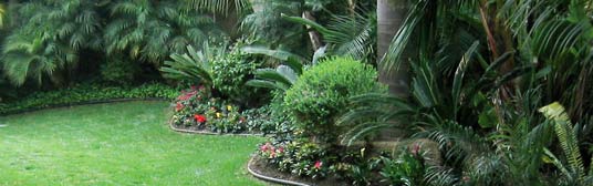 free quote on your san diego landscaping project san diego landscaping 